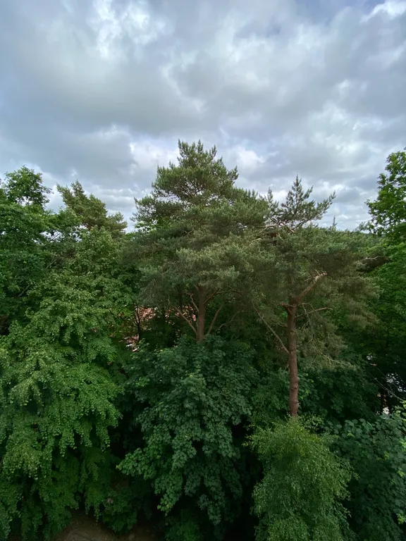 Квартира 2-комнатная Квартира — Светлогорск