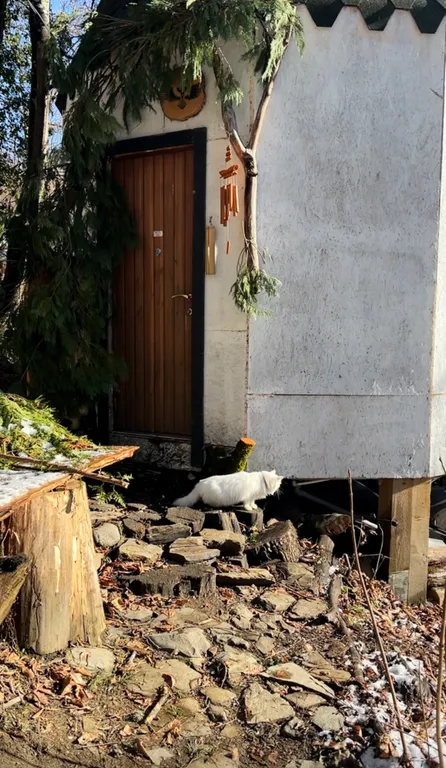 Эко-дом сфера