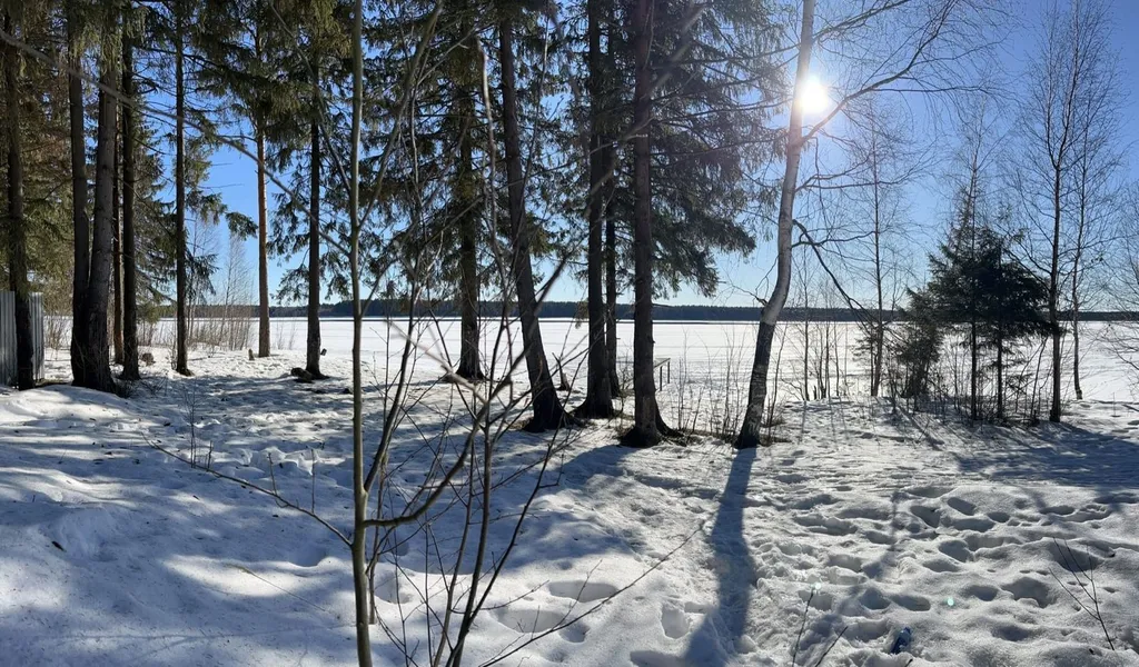 Домик на берегу реки Шексна