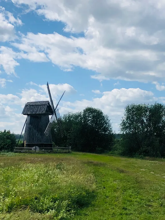 Маленький дом увитый виноградом