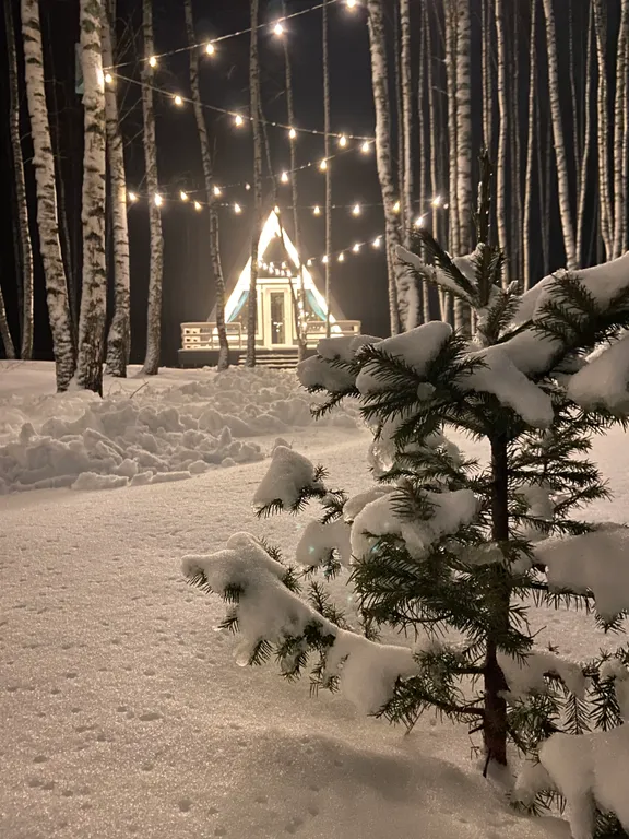 Дом в стиле A-frame