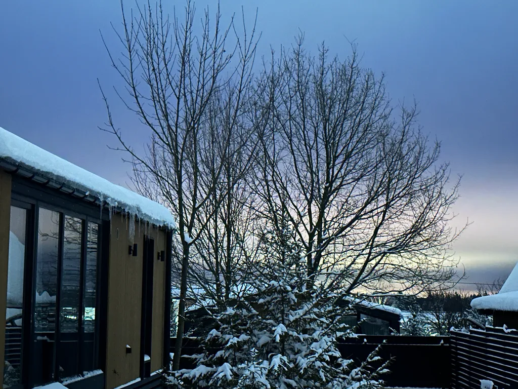 Домик Муус - уютный коттедж на отдельном участке