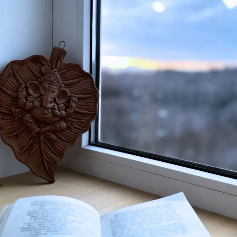 Студия Скандинавский лес с видом на Шуваловский парк