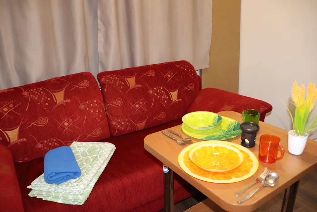 Компактная студия с двуспальным диваном у станции МЦД4 Железнодорожная