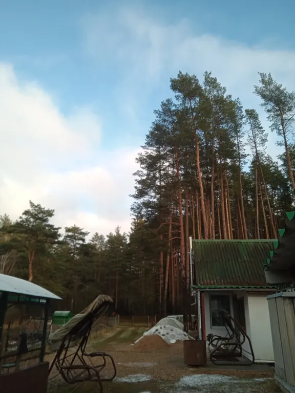 Домик в древнем Гнёздове