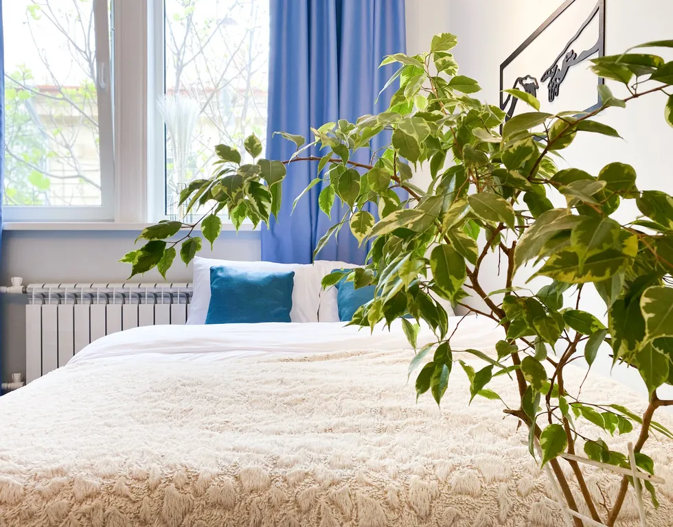 Квартира Стильная квартира в тихом центре — Севастополь