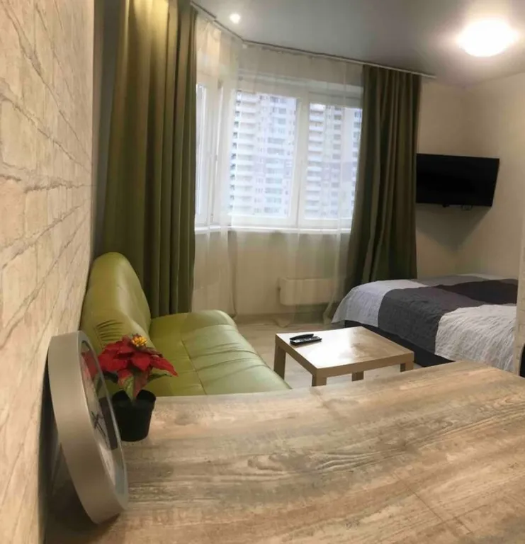 Уютная большая студия около Сколково