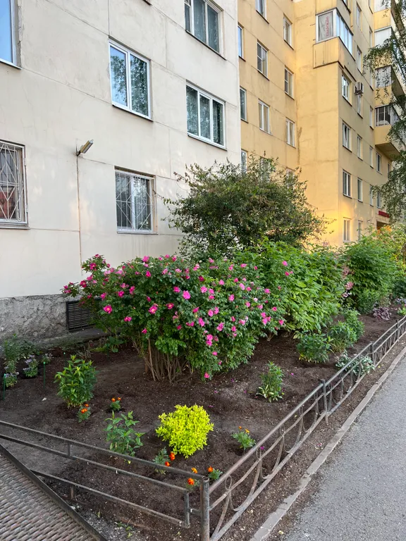 Квартира Квартира Уютная евродвушка — Санкт-Петербург