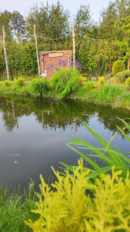 Агроусадьба с баней, на реке Птичь под Минском, с прудом