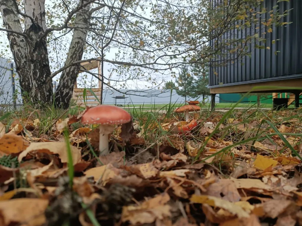 Коттедж Уютный загородный дом — Гжель