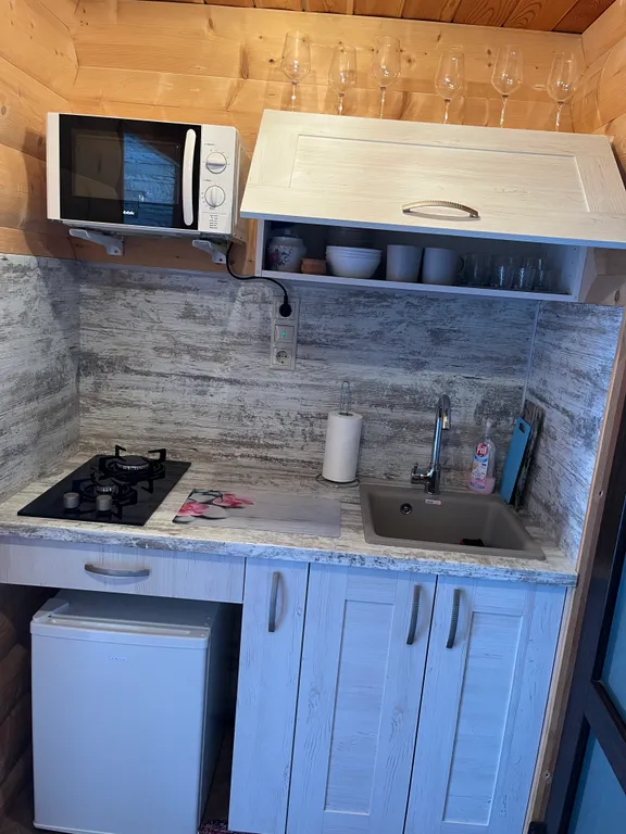 Дом-баня В гостях у Троицы