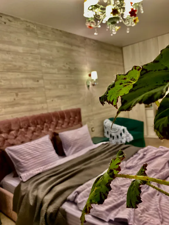 Уютная квартира около зоопарка с видом на пруд