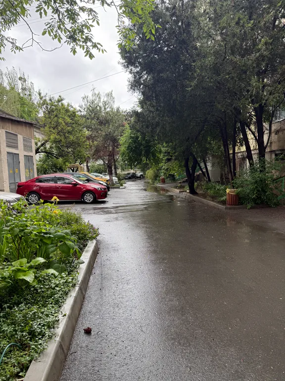 Квартира Уютная квартира возле парка — Симферополь