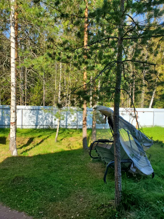 Загородный коттедж у леса