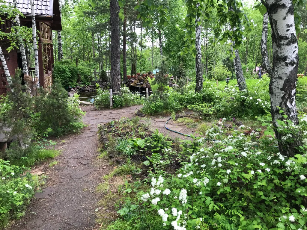 Сказочный дом в лесу