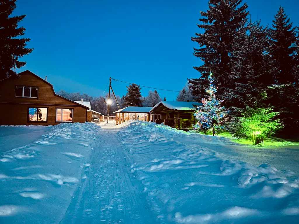 Загородный дом Царская усадьба