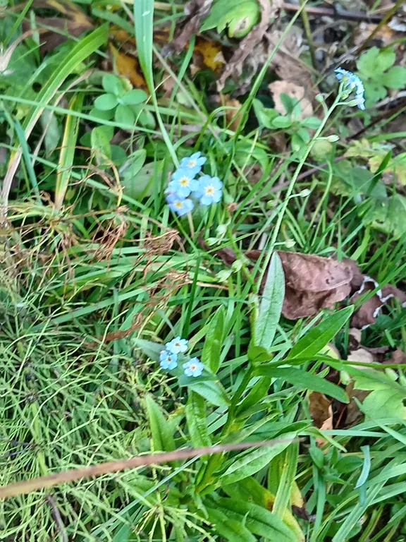 Гостевой дом премиум класса