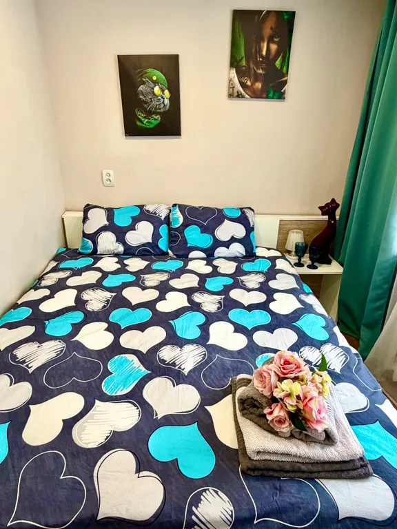 Квартира в центре города, рядом музей Янтаря, верхнее озеро и северный вокзал