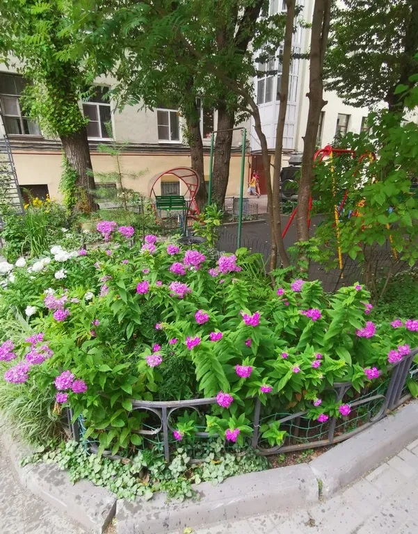 Квартира Уютная видовая квартира в центре города — Санкт-Петербург