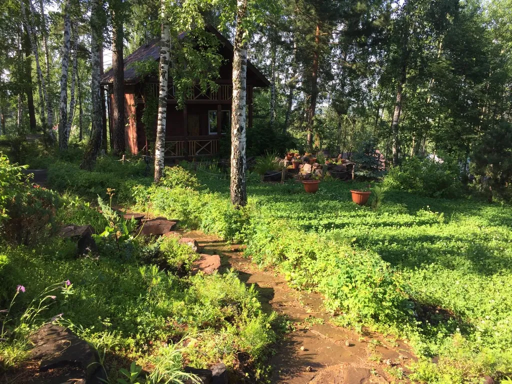 Сказочный дом в лесу