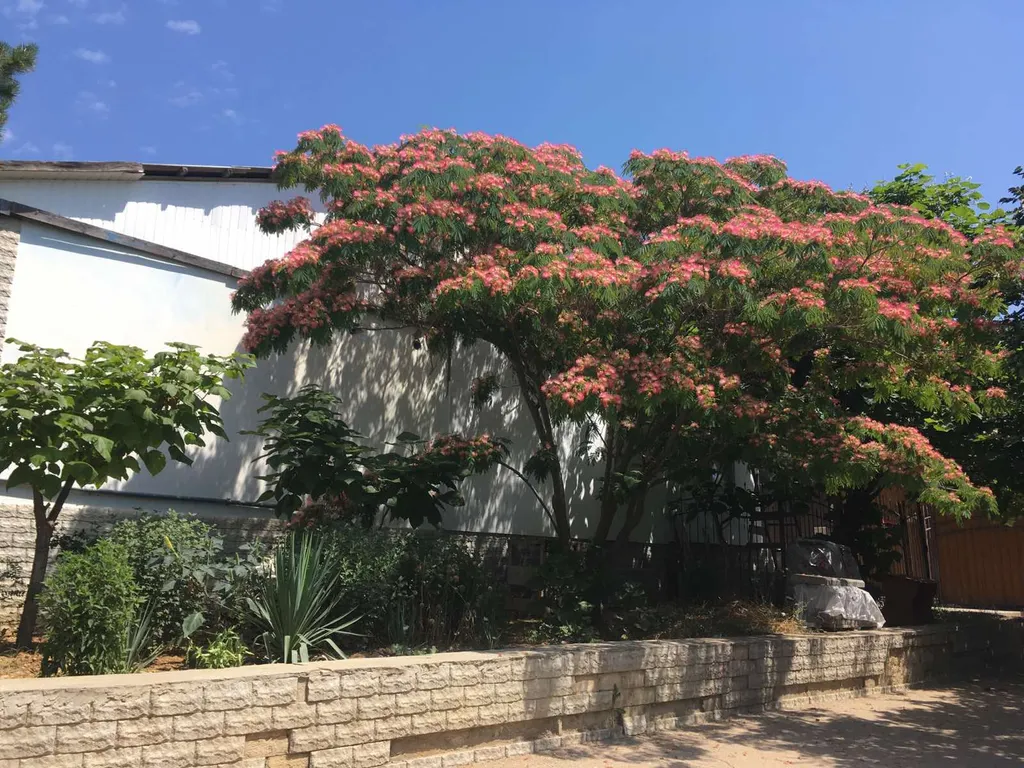 Квартира Апартаменты Costa Diva — Севастополь