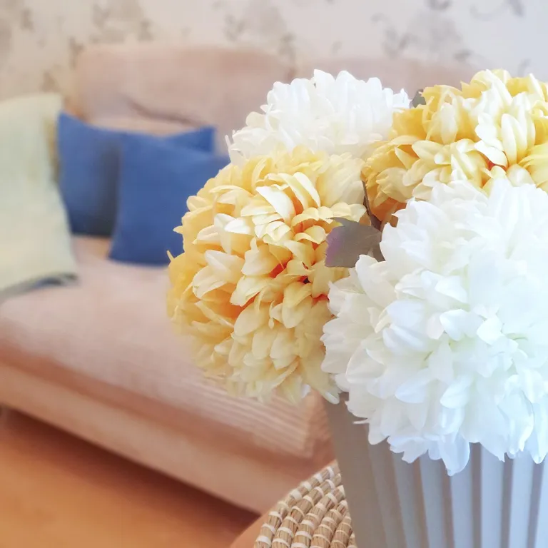 Квартира в историческом центре города