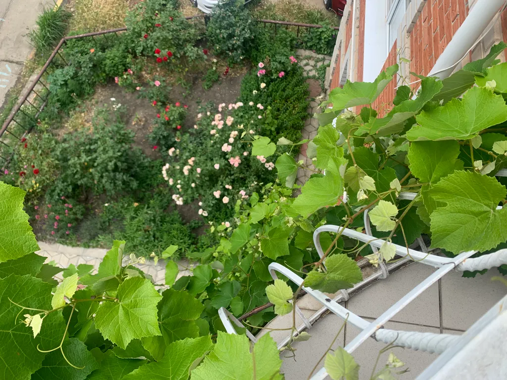 Комната для кратковременного проживания