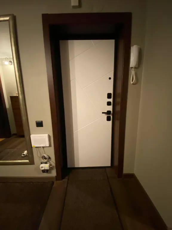 Квартира Квартира Комфортный апартамент с парковкой у дома, близко к метро и центру — Санкт-Петербург