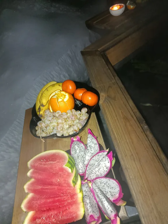 Аренда дома с чаном