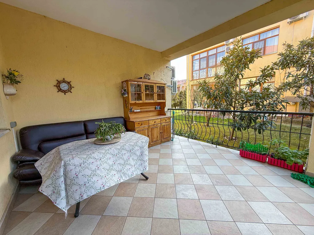 Орхидея парк Альфагид