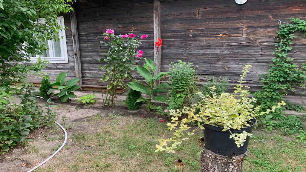 Дом с видом на лес недалеко от озера