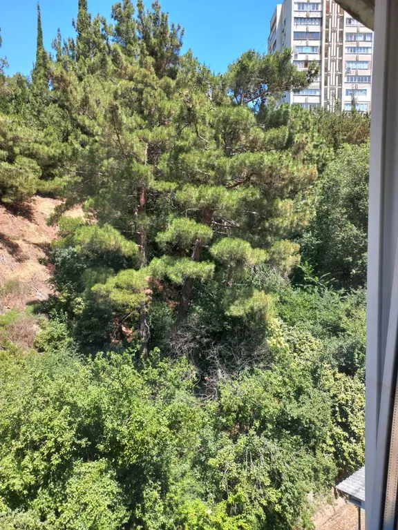 Уютная однокомнатная квартира в Партените