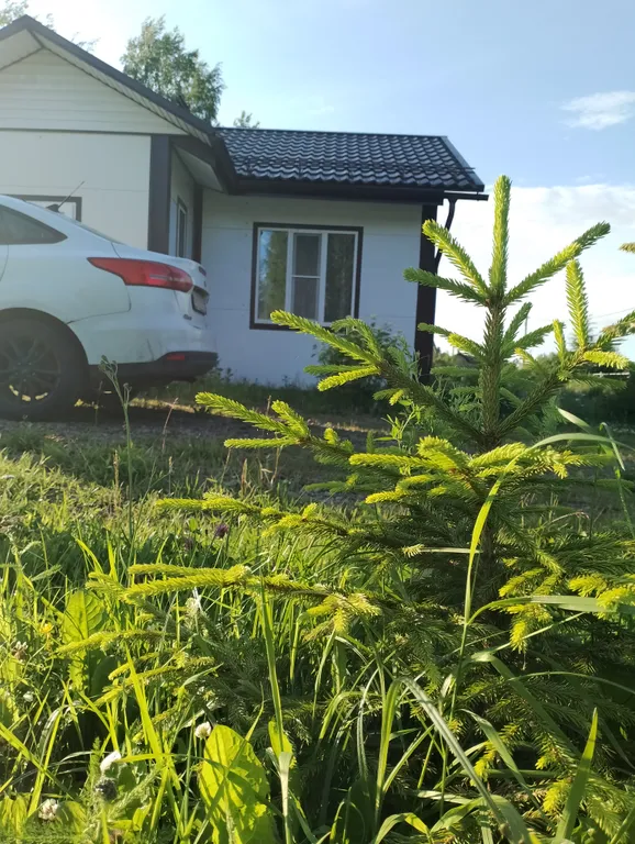 Коттедж Отдельный дом в Креницах — Новая Ладога