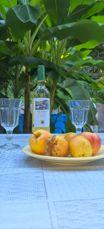 Уютные апартаменты с зелёным двориком