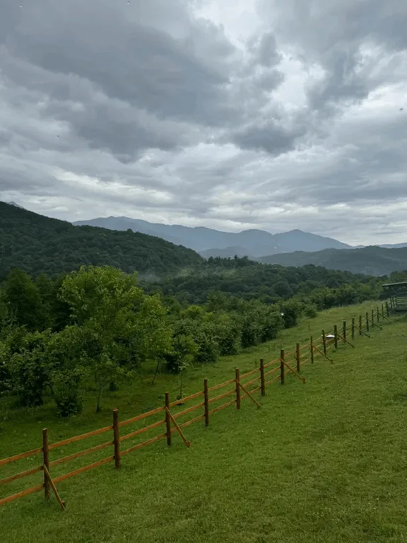 Большой домик в глэмпинге эко-ферма Гуляй поле