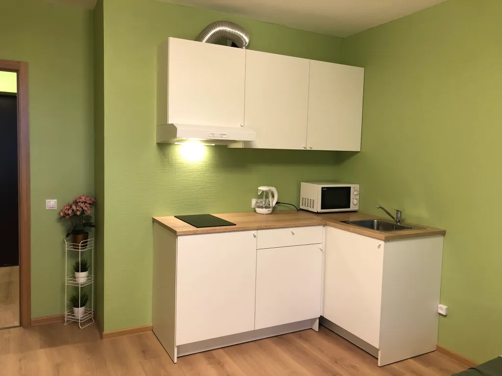 Квартира 1-комнатная Квартира — Песочный