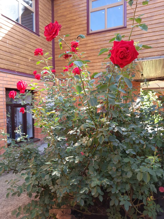 Коттедж Коттедж Отдых на Азовском море — Ейск