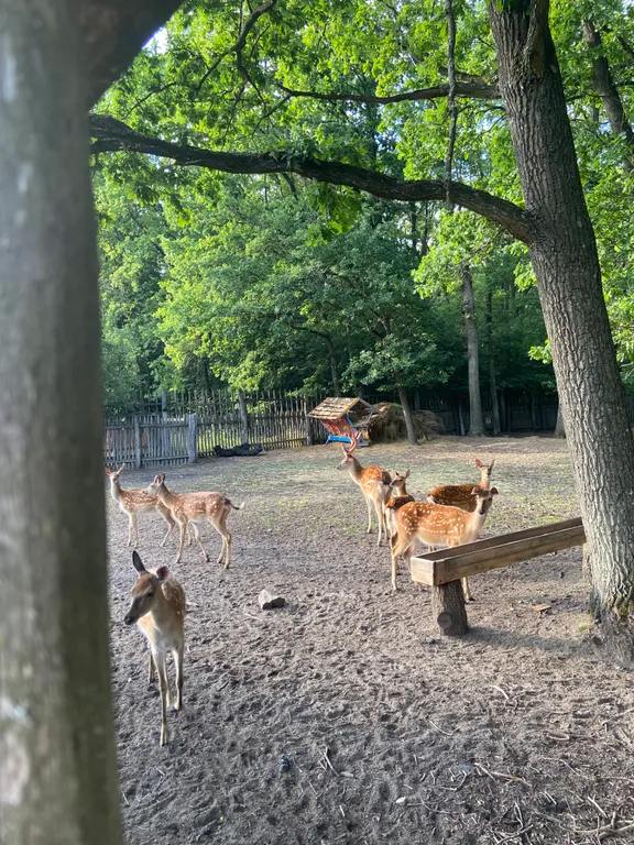 Усадьба На позитиве