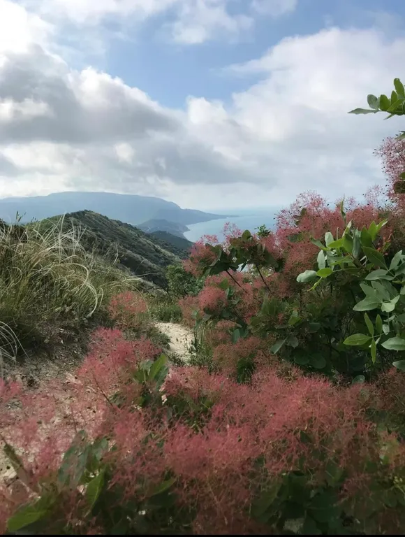 Квартира Двухкомнатная квартира у моря — Варваровка