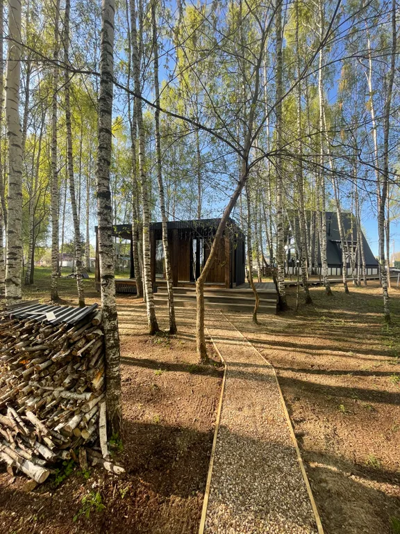 Самый уютный дом с панорамным остеклением в березовом лесу