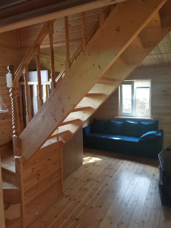 Dream Forest & River PZ