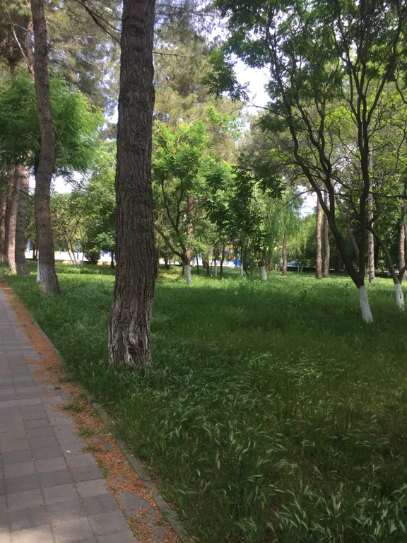 Квартира Апарт-отель Кавказ апартаменты 300м до моря — Анапа