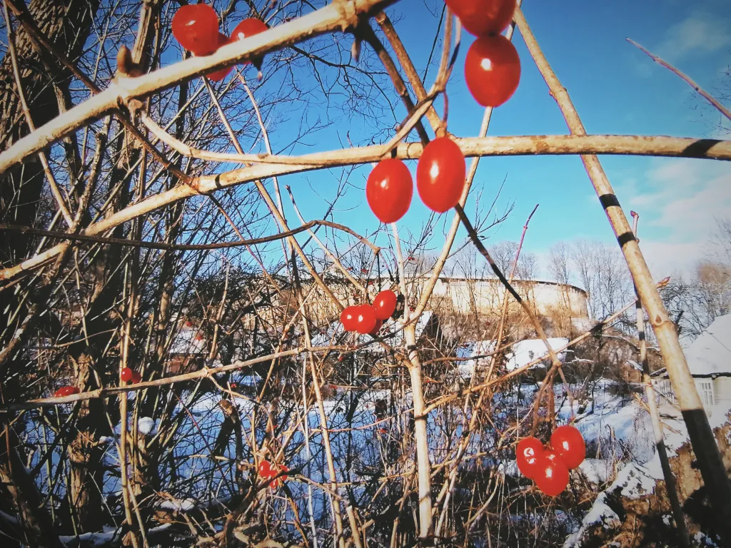 Дом Избушка Луна