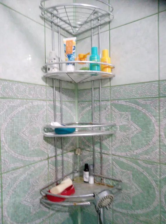 Просторная квартира в историческом центре города