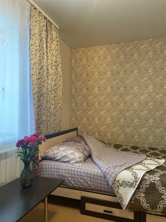 Уютная однокомнатная квартира