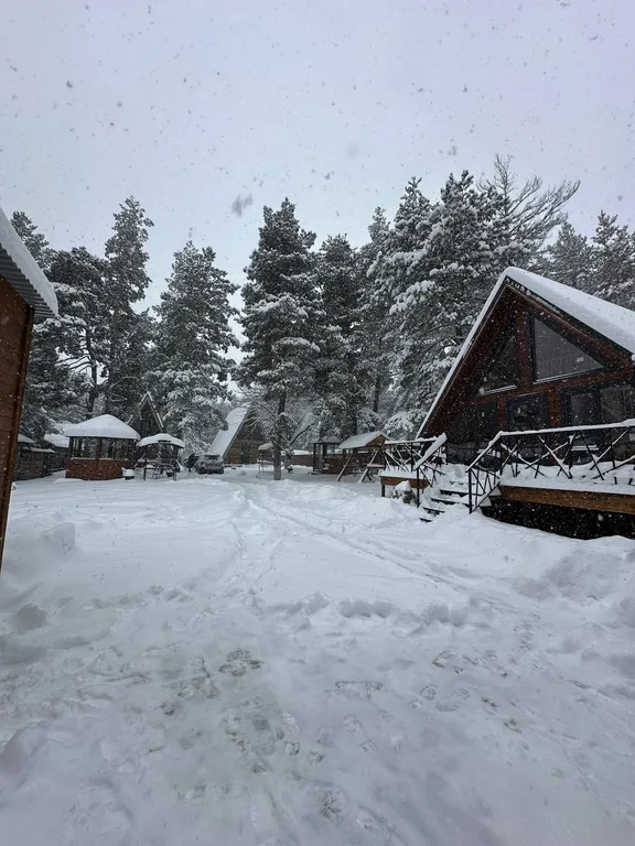 Новый современный дом в лесной зоне