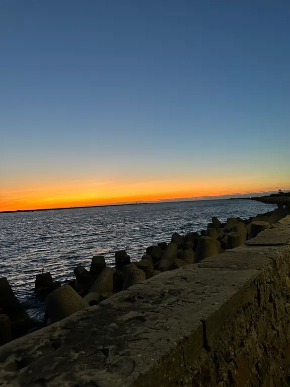 Квартира с пандой