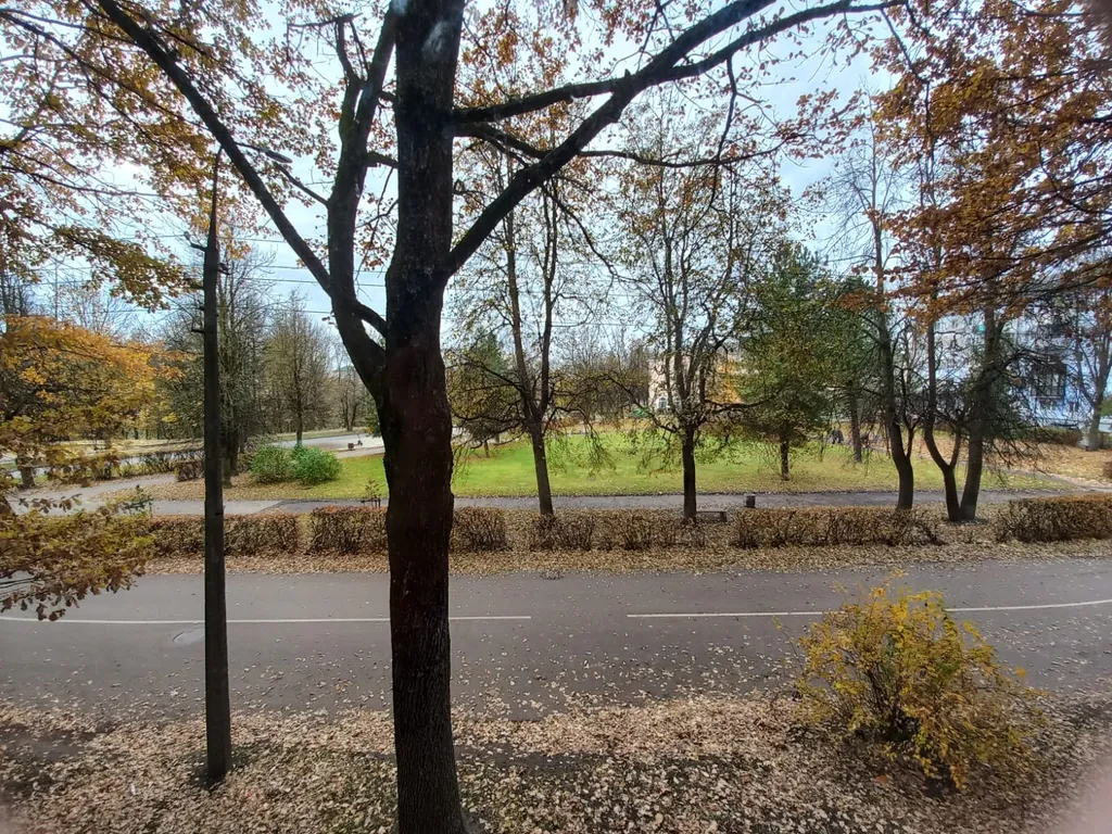 Квартира в доме у сквера