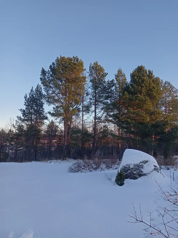 Уютный дом на Онежском озере