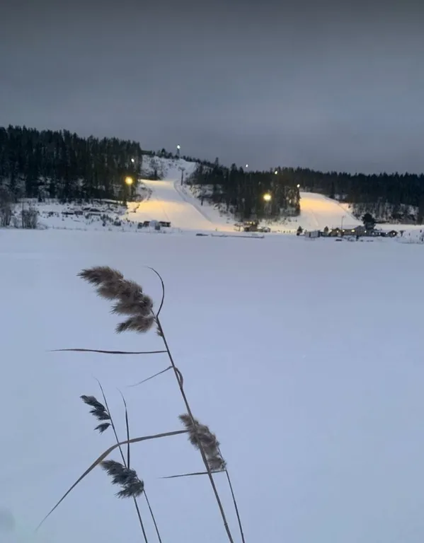 Лодж Ukko 75 кв.м на берегу Онежского озера